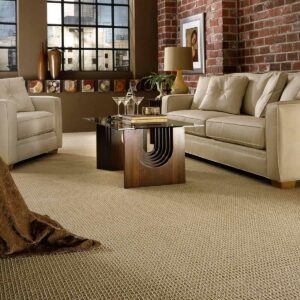 Stylish Carpet | Premiere Floor Covering