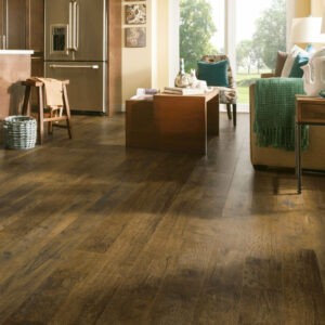 Traditional Luxury Vinyl Flooring | Premiere Floor Covering