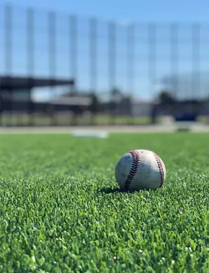 Sports-Field Sports-Field